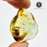 Natural Amber Wave Shape Stone With Spider